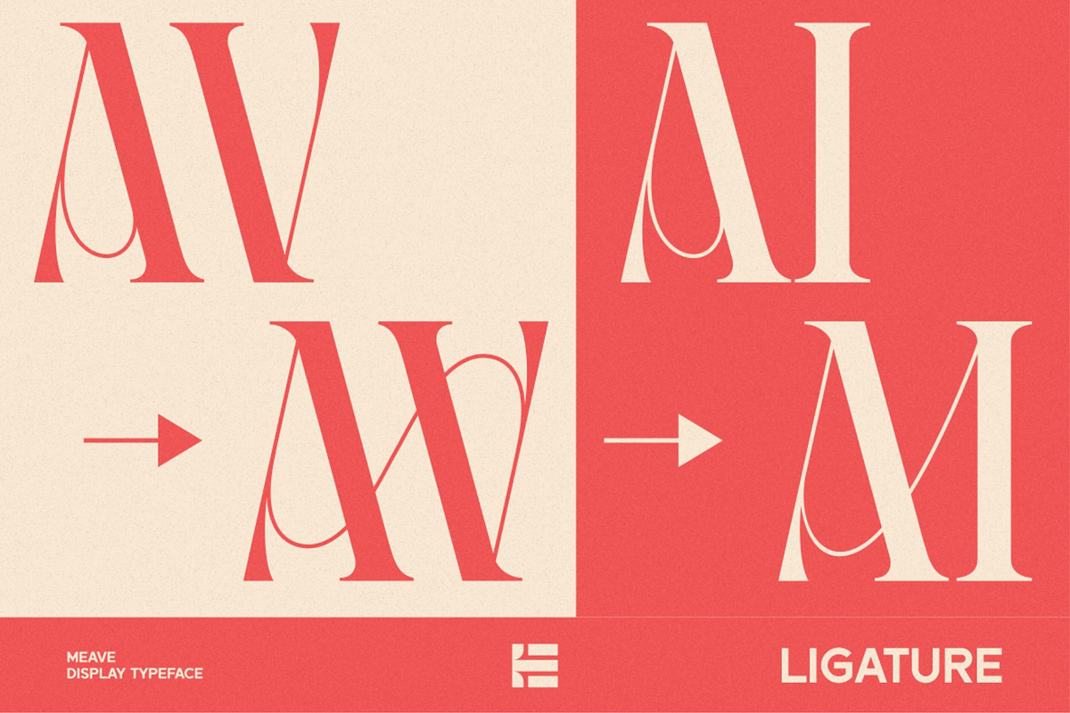 Meave, a Serif Font by Eotype Studio (Photo 7 of 12)