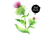Watercolor Superfood Vector Set, a Food Illustration by Elena Pimonova (Thumbnail 2 of 5)