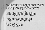 Buckbrush | Elegant Playful Serif, a Serif Font by anOra.std (Thumbnail 10 of 12)