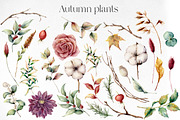 Fall Watercolor autumn flowers, a Seasonal Illustration by Yuliya Derbisheva (Thumbnail 3 of 9)