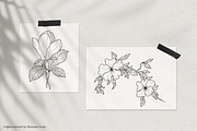 Floral Garden - Floral Line Art, an Illustration by IllustratorAnnie (Thumbnail 2 of 10)
