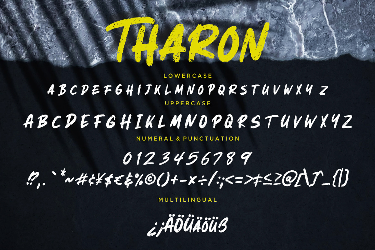 Tharon Brush Business Font preview 7