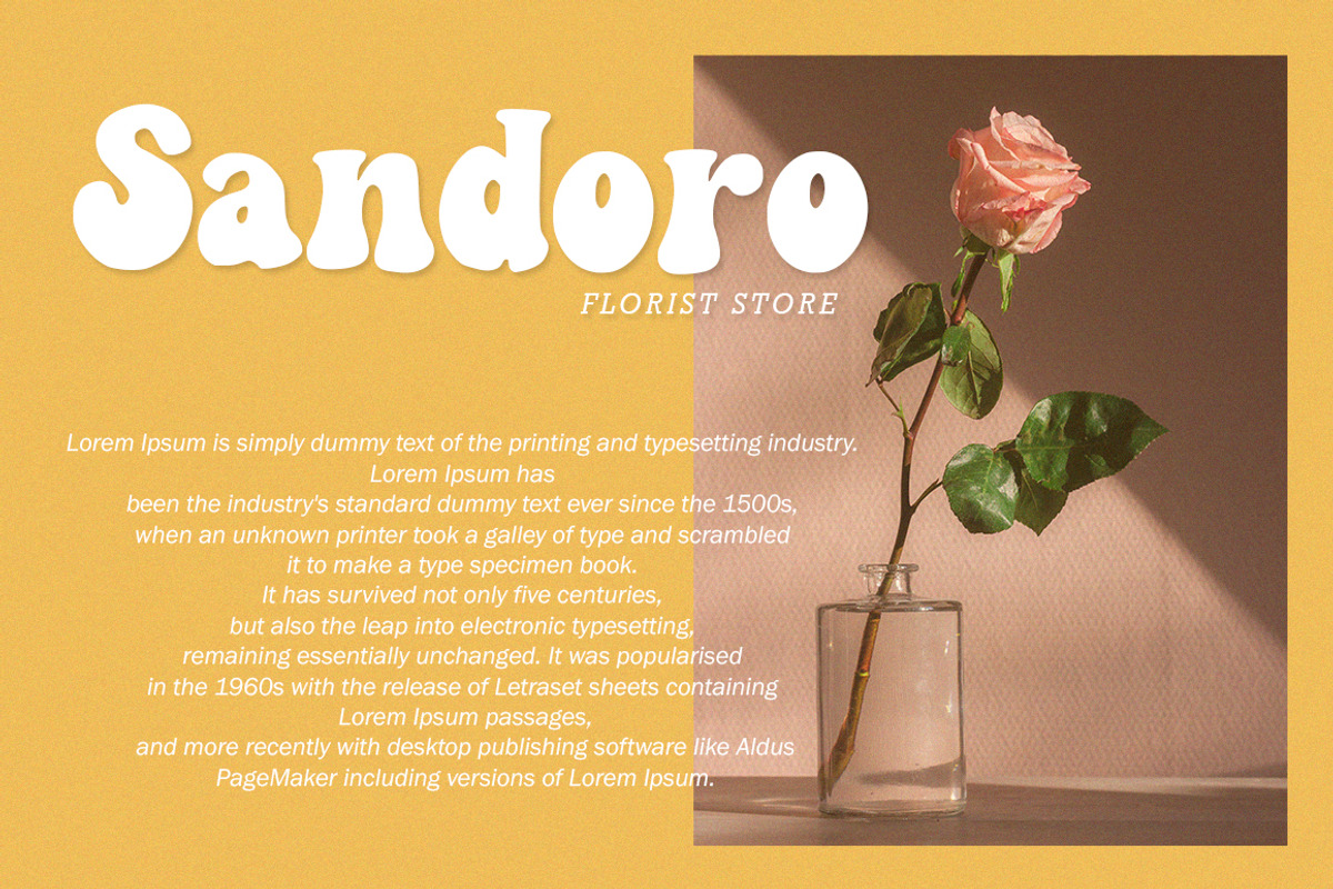 Canden - Display Handwritten Font, a Handwritten Font by Struggle Studio (Photo 6 of 10)