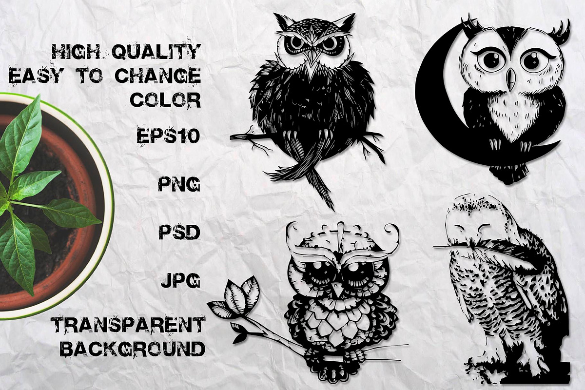Wild owls. 22 graphic illustrations, an Illustration by AnastasiyaOleynik (Photo 4 of 4)