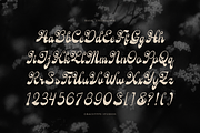 Rolling Rhapsody Handwritten Script, a Script Font by gracetype_studio (Thumbnail 10 of 12)