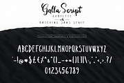 Wonderland Fonts Pack & Branding Kit, a Script Font by Graphicdome (Thumbnail 94 of 118)