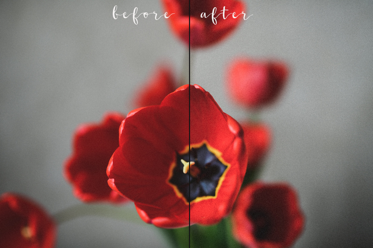 9 FILM presets for lightroom, a Preset Add-On by Trofimova Veronika (Photo 3 of 8)