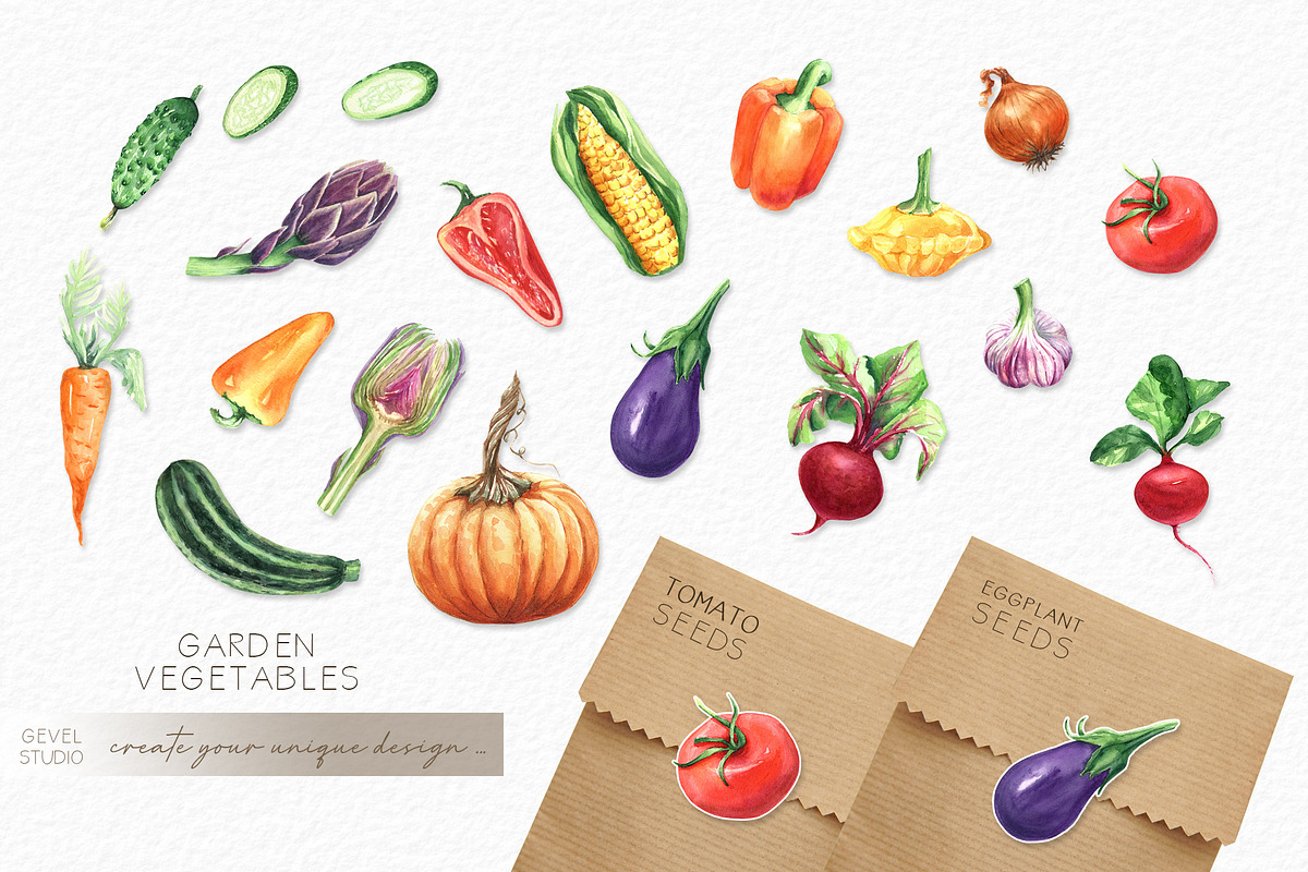 Watercolor VEGETABLES illustrations, a Decorative Illustration by GevelStudio (Photo 3 of 9)