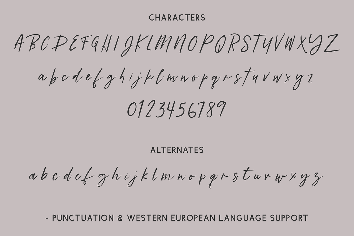 Westerburg Script, a Script Font by Beck McCormick (Photo 10 of 10)