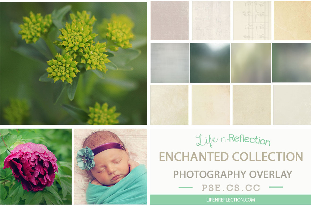 Enchanted Overlay Collection Bundle, a Texture Graphic by lifenreflection (Photo 2 of 2)
