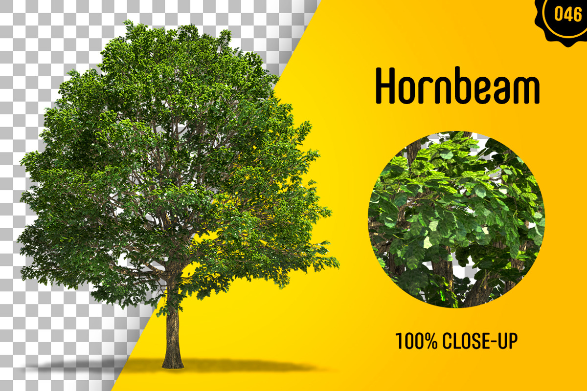 CUT OUT TREES - 60 PCS BUNDLE, a Packaging Mockup by 3DSTORE (Photo 47 of 63)