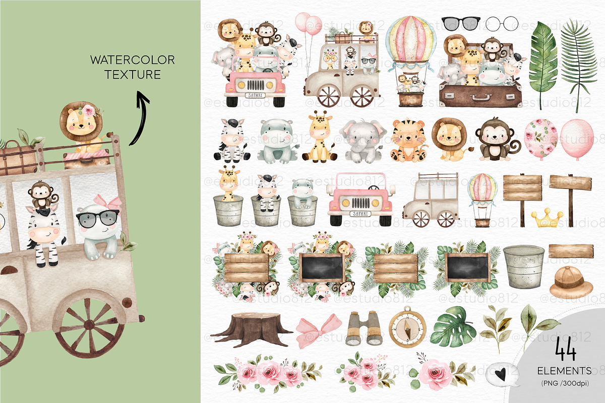 Safari Candy Color, an Illustration by Estudio 812 (Photo 3 of 8)
