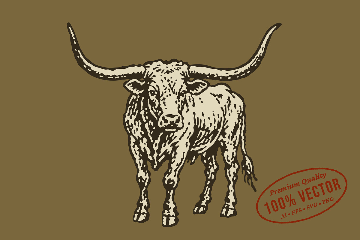 Vintage Longhorn Bull Illustration, an Animal Illustration by lettett (Photo 1 of 3)
