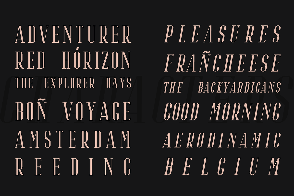 Riffle Font Family preview 7