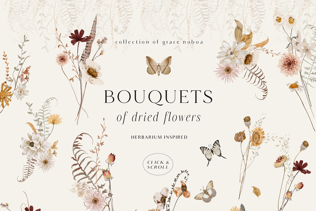 Wildflowers watercolor floral botany, a Decorative Illustration by Grace Noboa Illustrations (Photo 13 of 17)