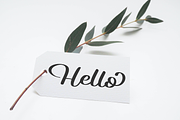 Fallen danilla, a Script Font by BearyType Studio (Thumbnail 5 of 7)