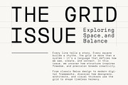 Reflow Mono Family | Intro 50% OFF, a Sans Serif Font by Lettertype Studio (Thumbnail 2 of 15)