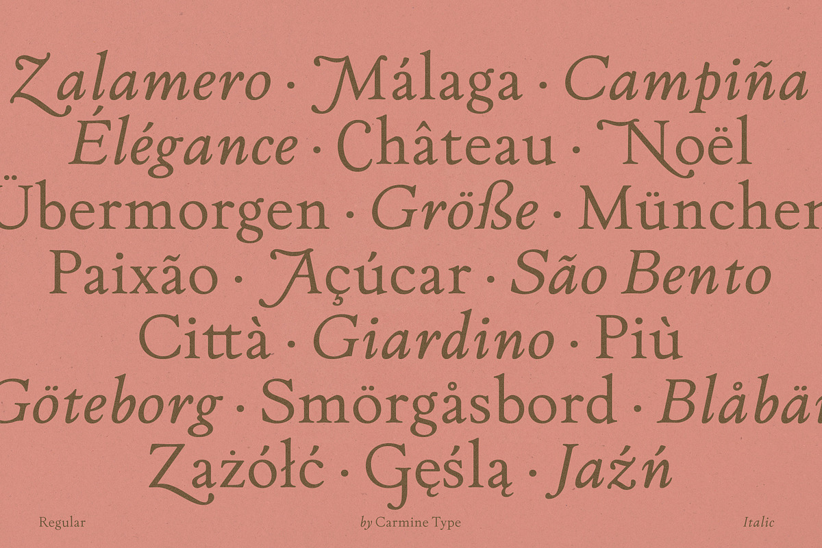 The Ashcombe Hall Oldstyle Serif, a Serif Font by CarmineType (Photo 15 of 24)