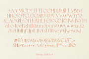 Novelty Serif Font, a Serif Font by iStar Design (Thumbnail 14 of 14)