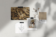 Botanical line art sketches, a Decorative Illustration by Madiwaso (Thumbnail 5 of 6)