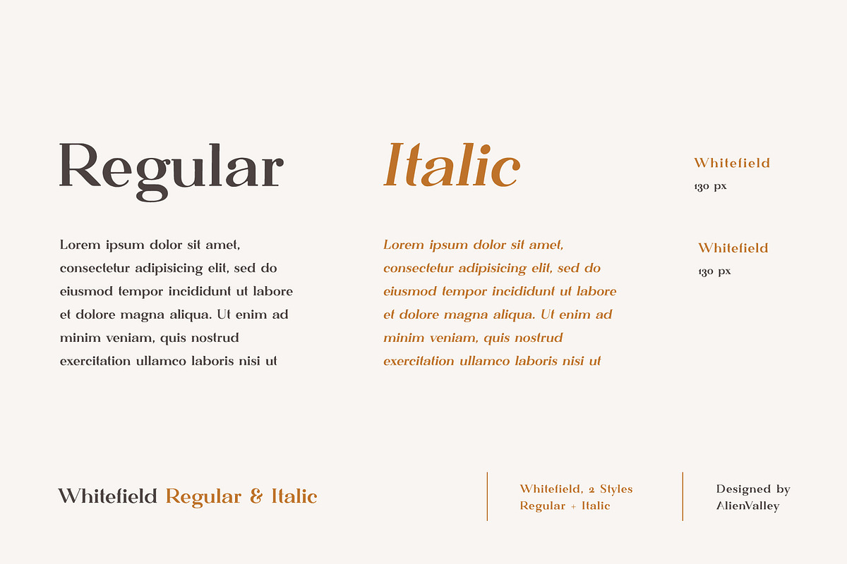 Whitefield - Handcrafted Serif, a Serif Font by AlienValley (Photo 3 of 8)