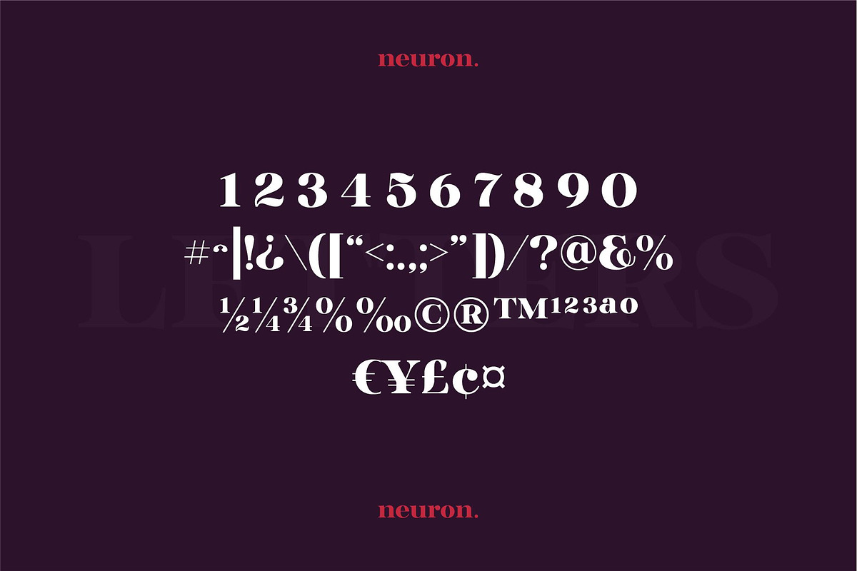 Glinde, a Serif Font by nurrontype (Photo 11 of 12)
