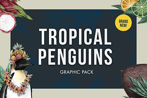 Tropical Penguins - Graphic Pack