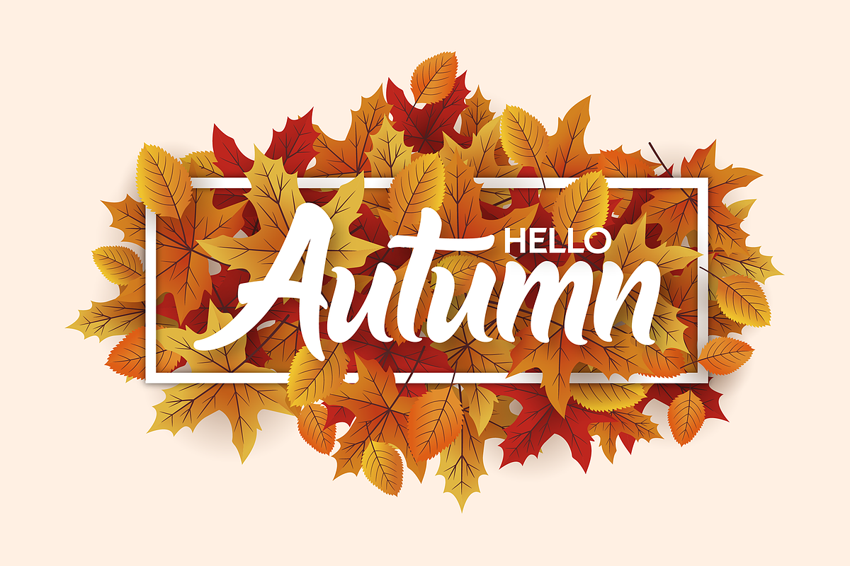 The Barethos, a Script Font by figuree studio (Photo 9 of 9)