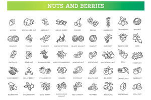 Nuts and Berries icons, a Food Illustration by Tettygreen