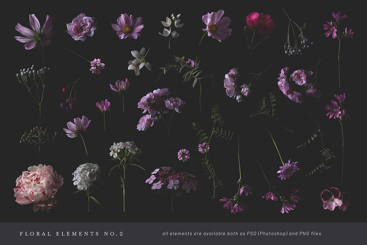 Nocturne - a dark floral collection, a Graphic by Anja Kaiser (Photo 3 of 13)