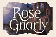 GC Saphone – Sophisticated Serif, a Serif Font by Glyphonic (Thumbnail 11 of 15)