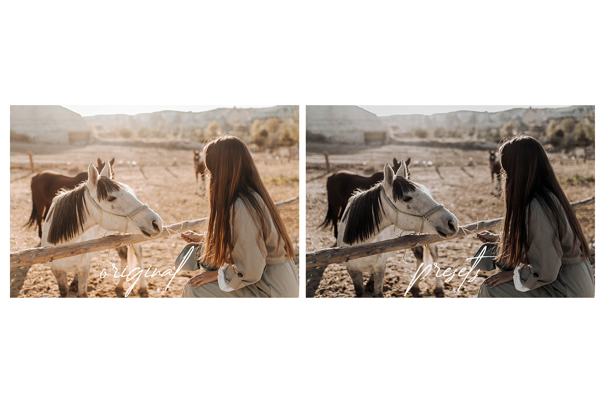 Dark and Moody Premium Presets, a Preset Add-On by Voleshads (Photo 2 of 7)