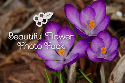 Flower Collection One