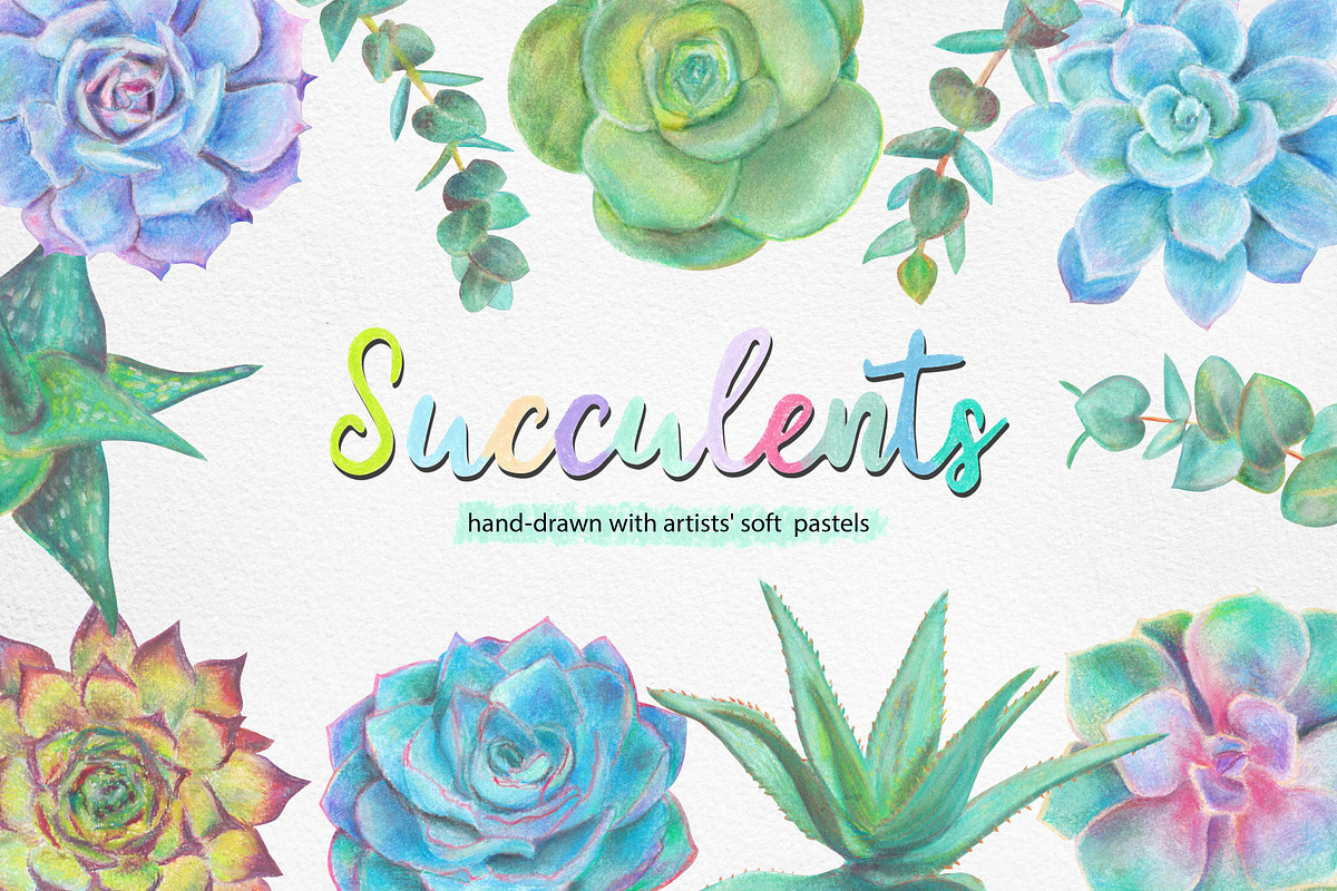 Hand drawn Succulents Clipart, an Illustration by Artemisia_Art (Photo 1 of 6)