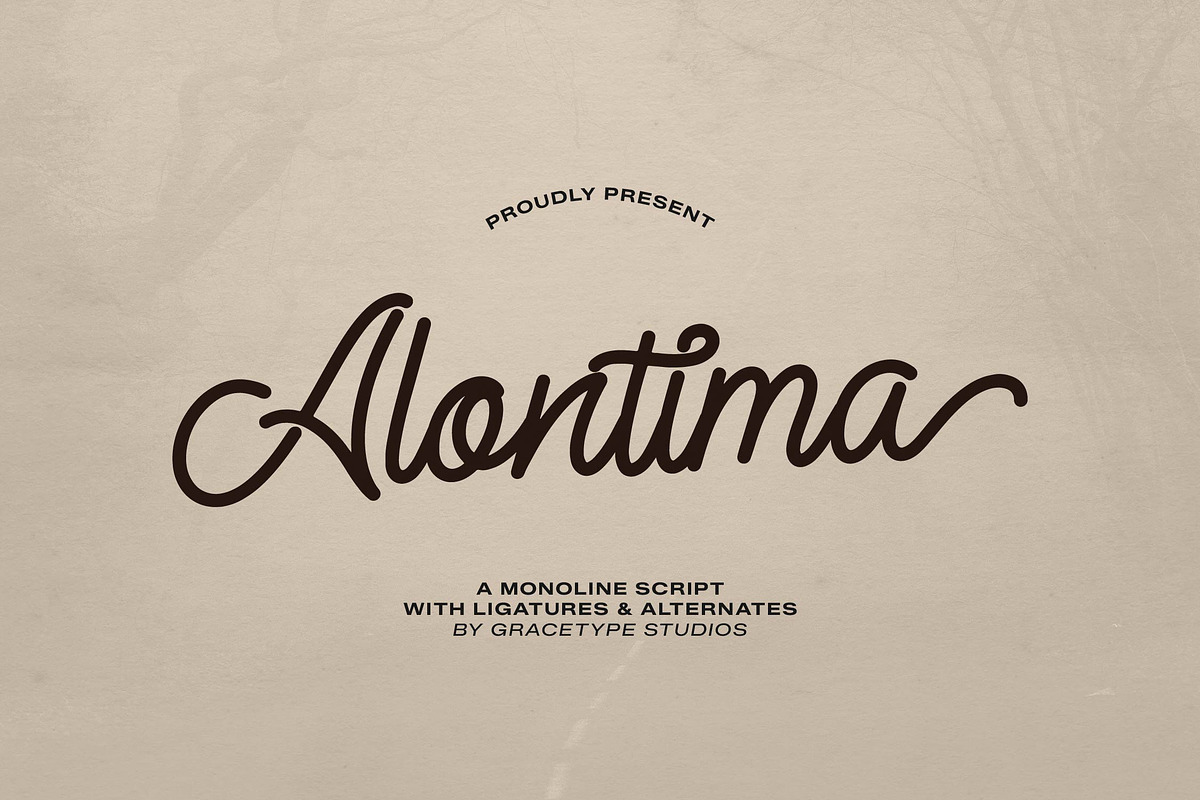 Alontima | Monoline Script, a Script Font by gracetype_studio (Photo 1 of 12)