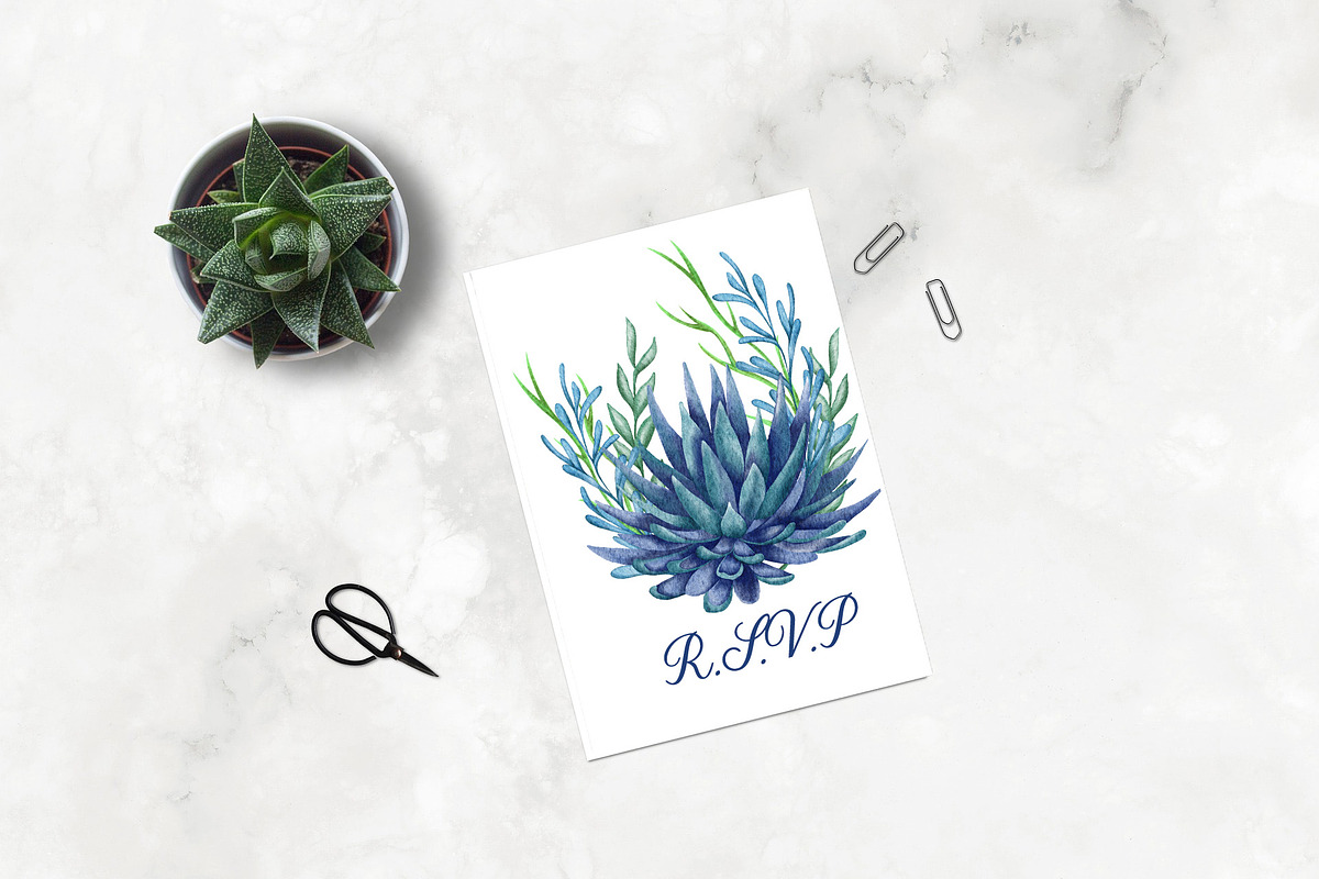 Succulents Watercolor clipart, an Illustration by BarvArt (Photo 2 of 13)
