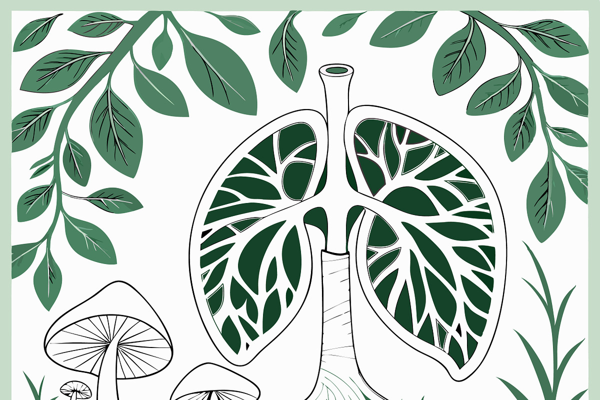 Artistic lungs tree mushroom nature, a Healthcare Illustration by SouravDesign (Photo 2 of 3)