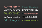 Prose Sans | Sans Serif Font Family, a Sans Serif Font by Ayca Atalay (Thumbnail 3 of 11)