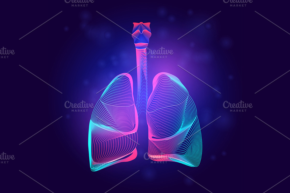 Vector set of human inner organs, a Healthcare Illustration by Rodionoff (Photo 2 of 7)