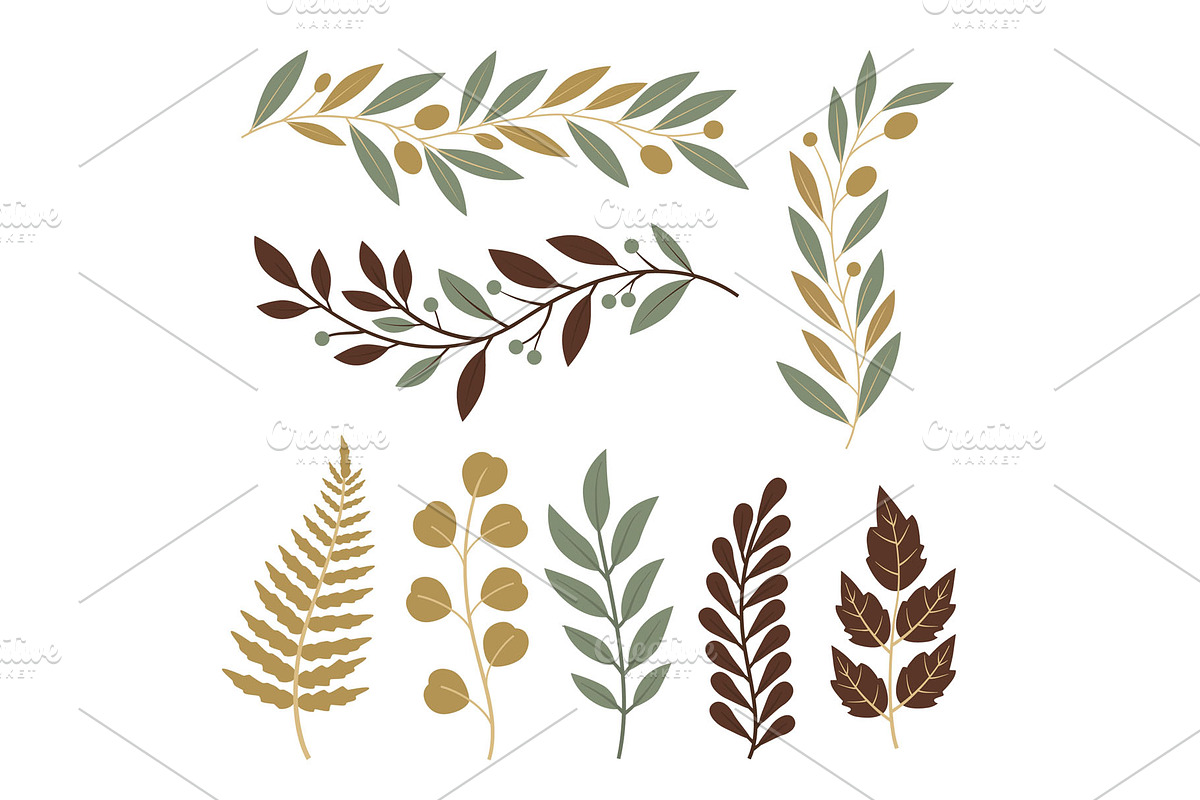 Leaves frames and elements, an Object Graphic by Woters little shop (Photo 4 of 7)
