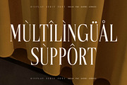 Mocnetla Display Serif Font, a Serif Font by Storytype Studio (Thumbnail 12 of 15)