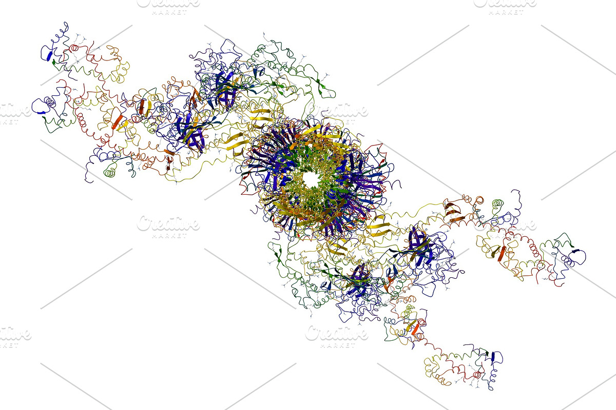 Molecular motor: myosins and actin, a Technology Illustration by Leonid Andronov