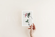 Minimalist Blank Card Mockup #1, a Mockup by HALFTOUNE (Thumbnail 2 of 6)