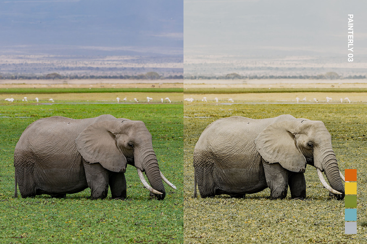 25 Safari Lightroom Presets LUTs, a Preset Add-On by SparkleStock (Photo 4 of 15)