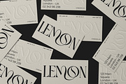 LEMON - Business Card Mockup 2.0, a Books & Magazine Mockup by Catkie - Digital Art (Thumbnail 7 of 9)