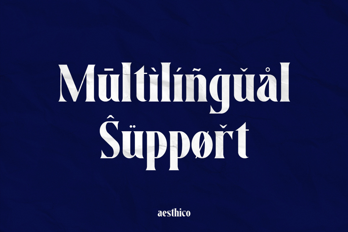 Aesthico Bold Serif Font, a Serif Font by Heinzel Std (Photo 15 of 15)