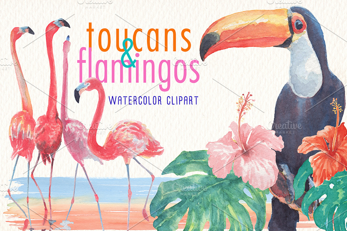 toucans and flamingos watercolor set, an Illustration by Art & Things (Photo 1 of 7)