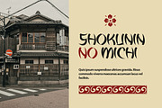 Aokishi Japanese Elegance Font, a Symbol Font by Vadovastd (Thumbnail 7 of 8)