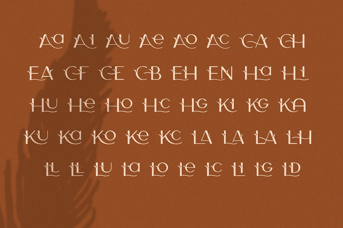 Camelia Sans - Unique Typeface, a Sans Serif Font by CCS Type (Photo 15 of 16)