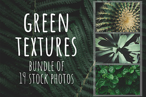 Green textures - photo bundle